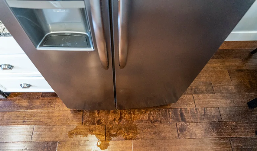 Leaking Refrigerator