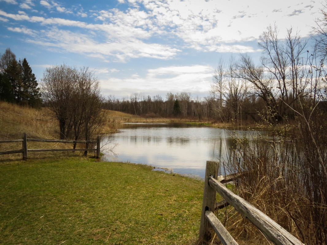 Saukville Water Damage