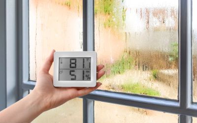 How To Manage Moisture With High Humidity Levels to Prevent Mold Growth